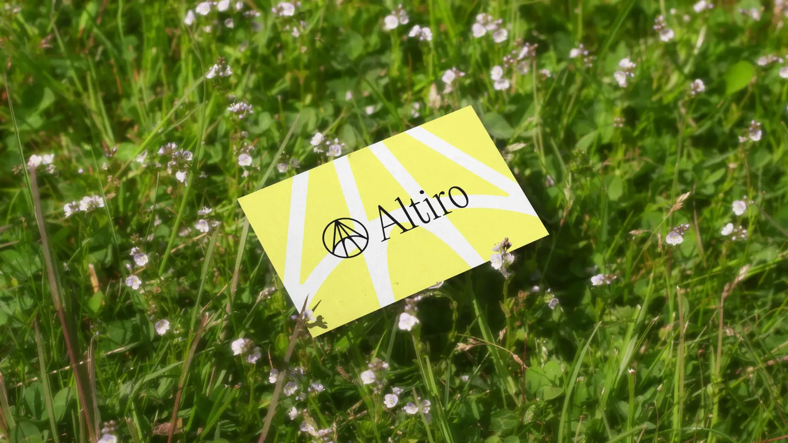 Altiro brand identity design by Hunt (6)