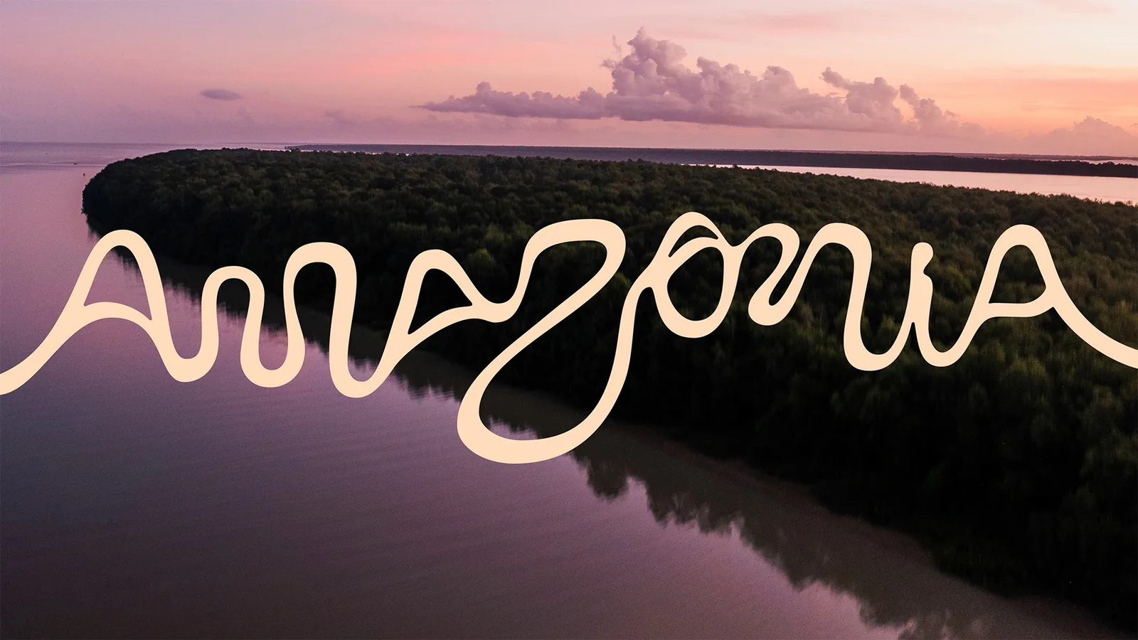Amazonia brand identity design by FutureBrand