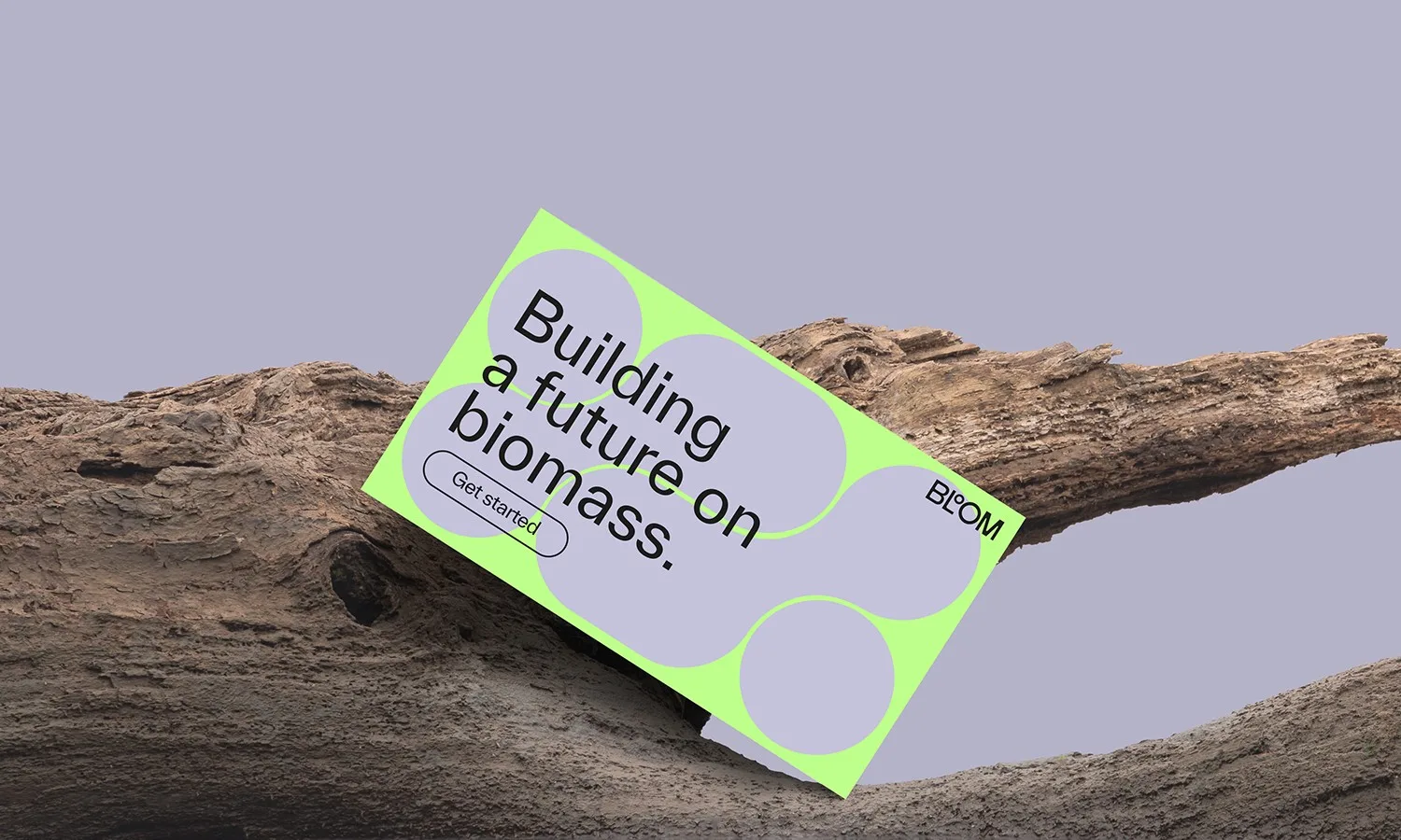 Bloom brand identity design by LIT (6)