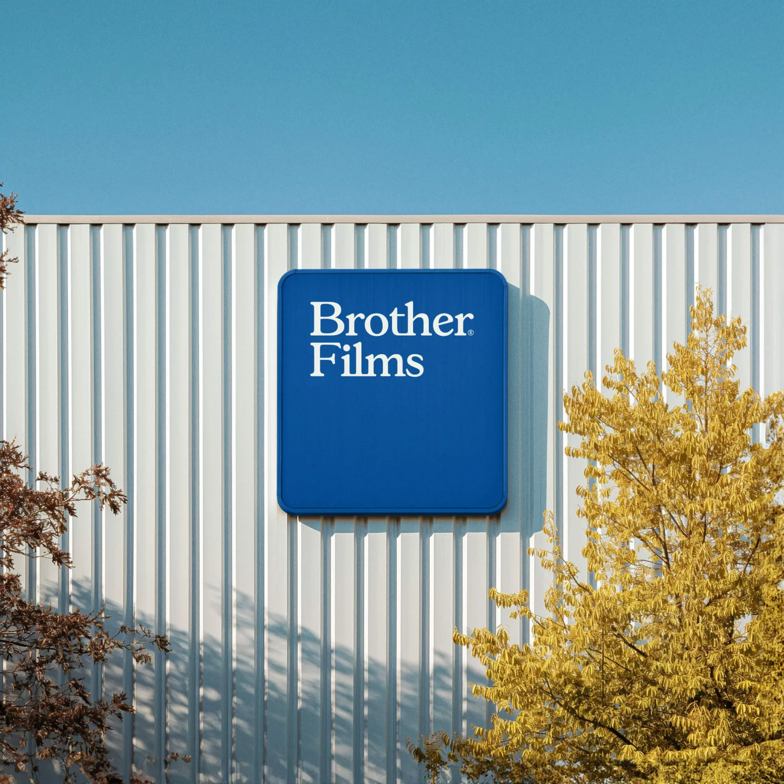 Brother Films brand identity design by Forth+Back (4)