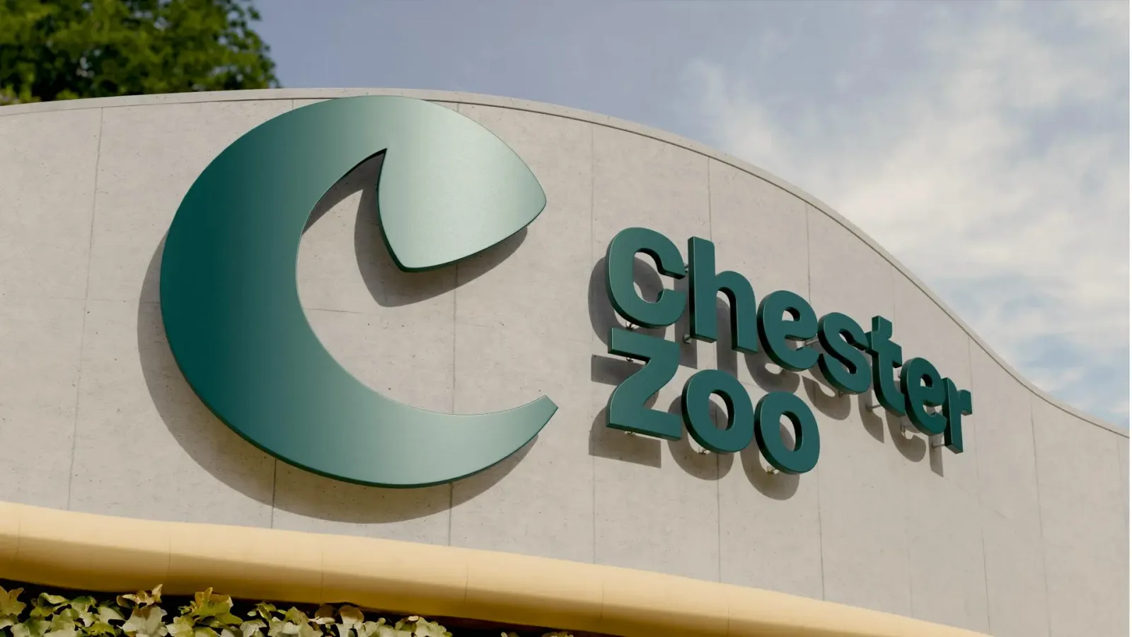 Chester Zoo brand identity design by How&How