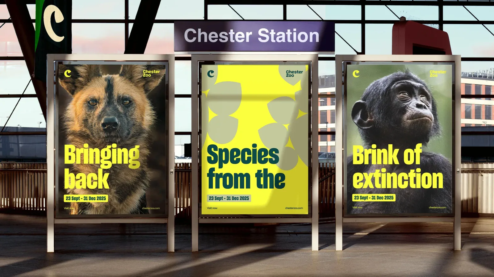 Chester Zoo brand identity design by How&How (2)