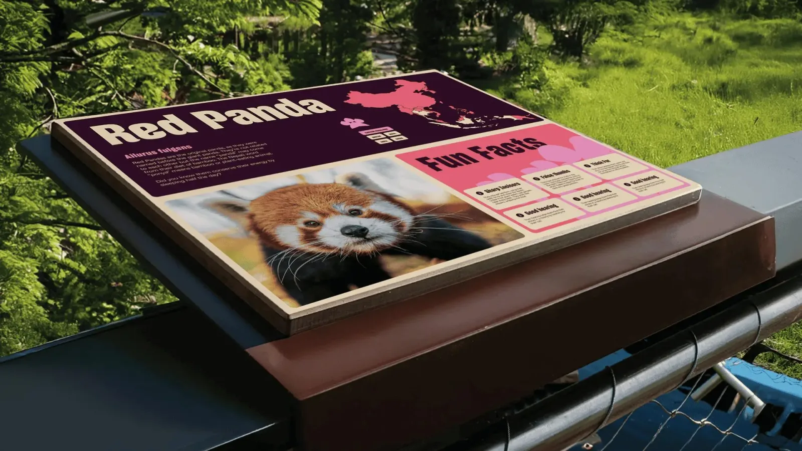 Chester Zoo brand identity design by How&How (3)