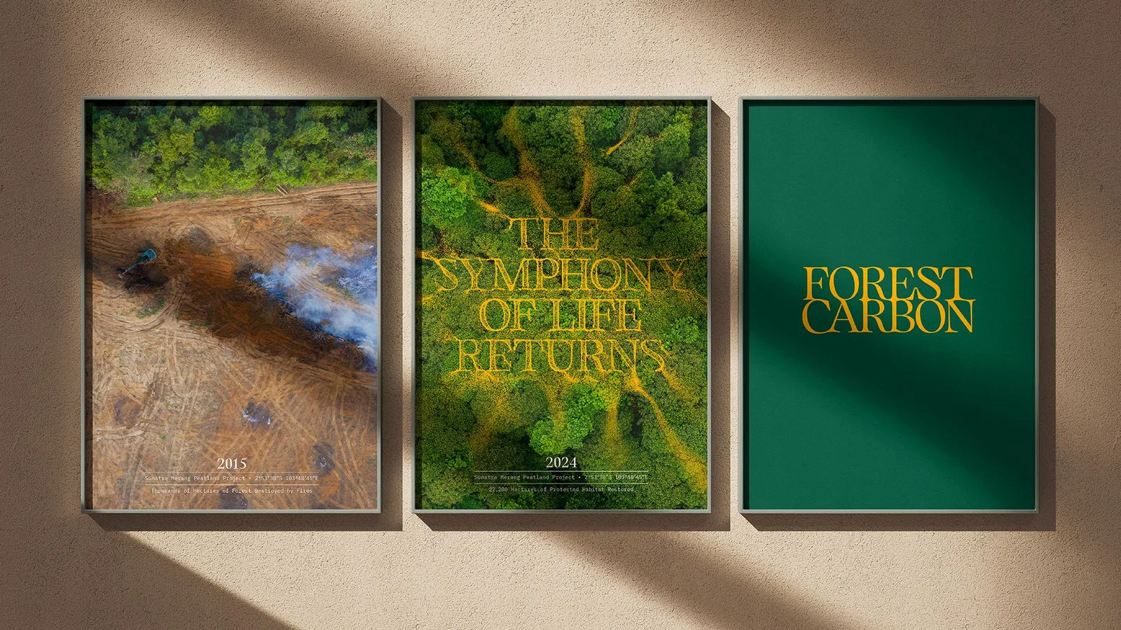 Forest Carbon brand identity design by Design Bridge and Partners (2)