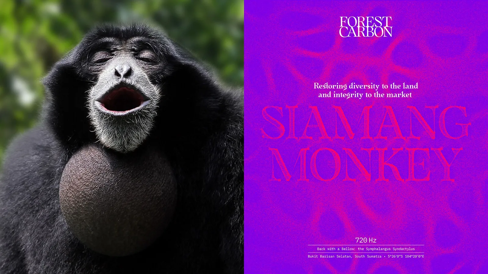 Forest Carbon brand identity design by Design Bridge and Partners (3)