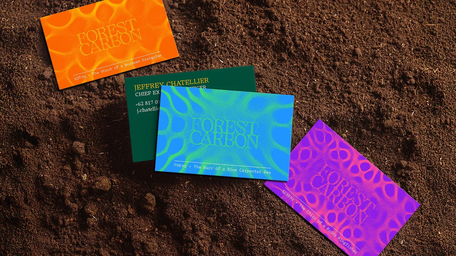 Forest Carbon brand identity design by Design Bridge and Partners (7)