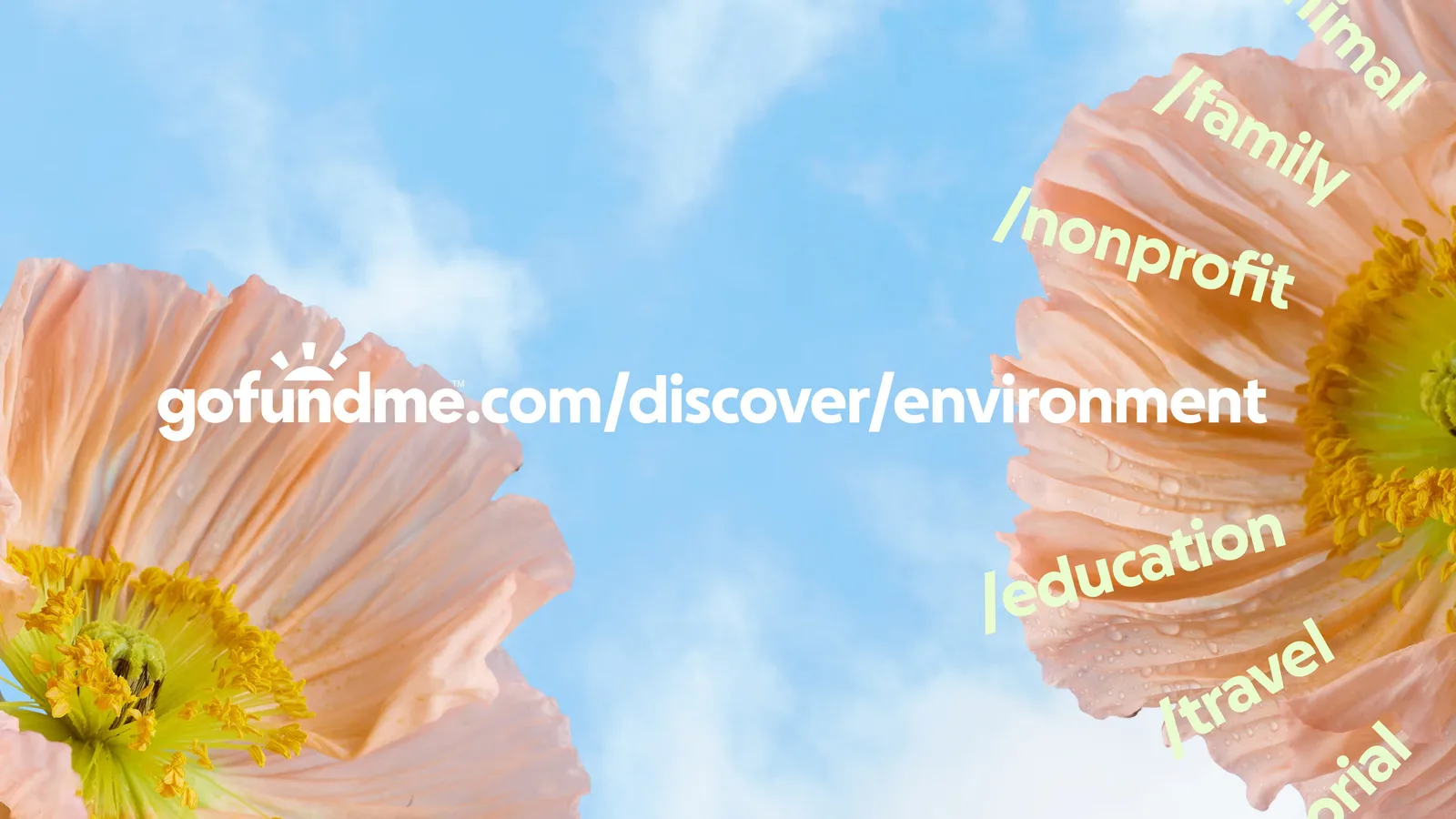 GoFundMe brand identity design by Koto (3)
