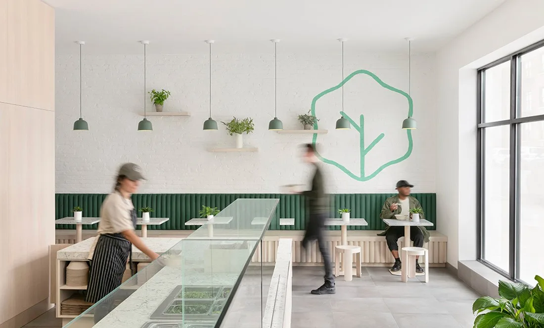Liv Salad brand identity design by My Creative
