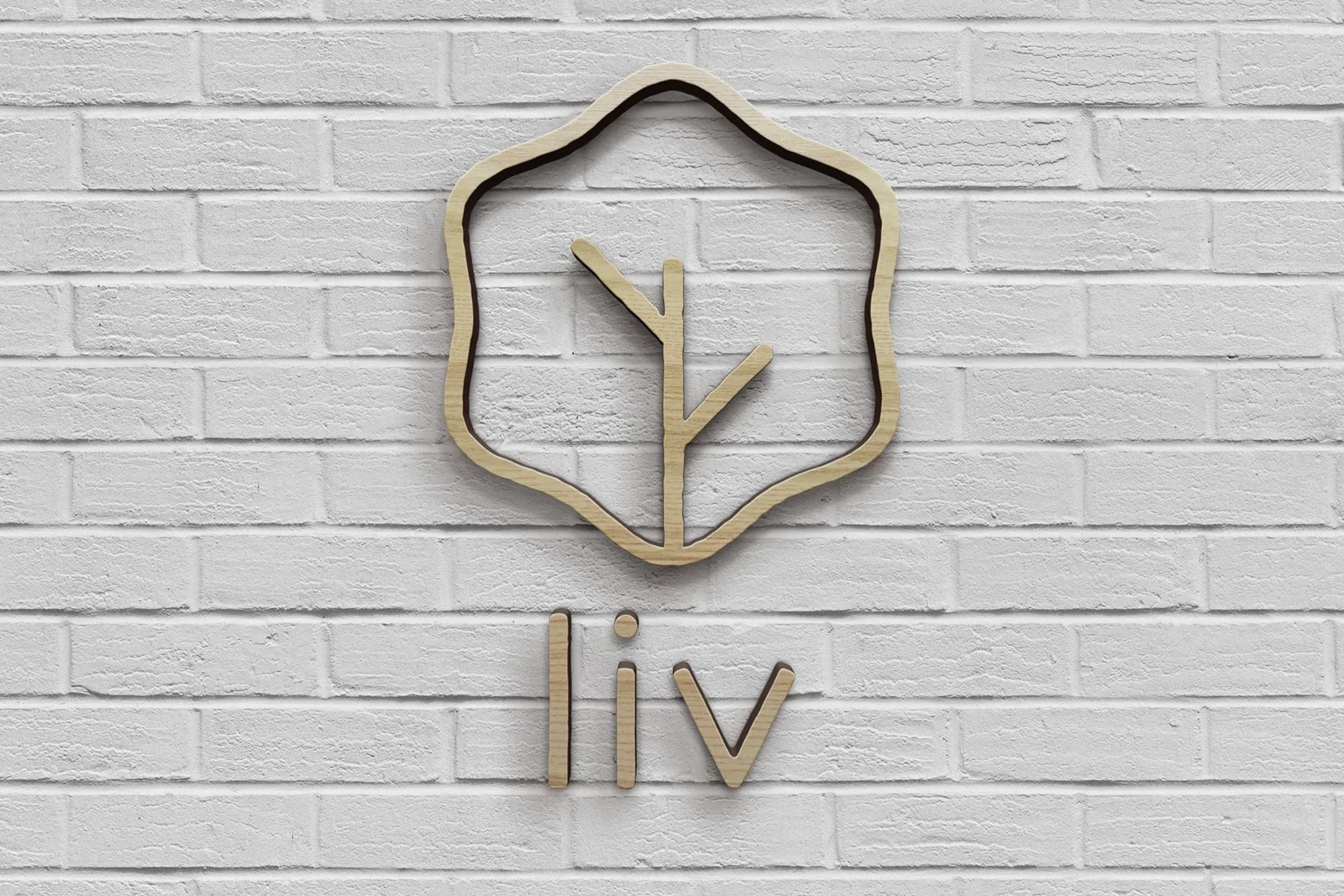 Liv Salad brand identity design by My Creative (3)
