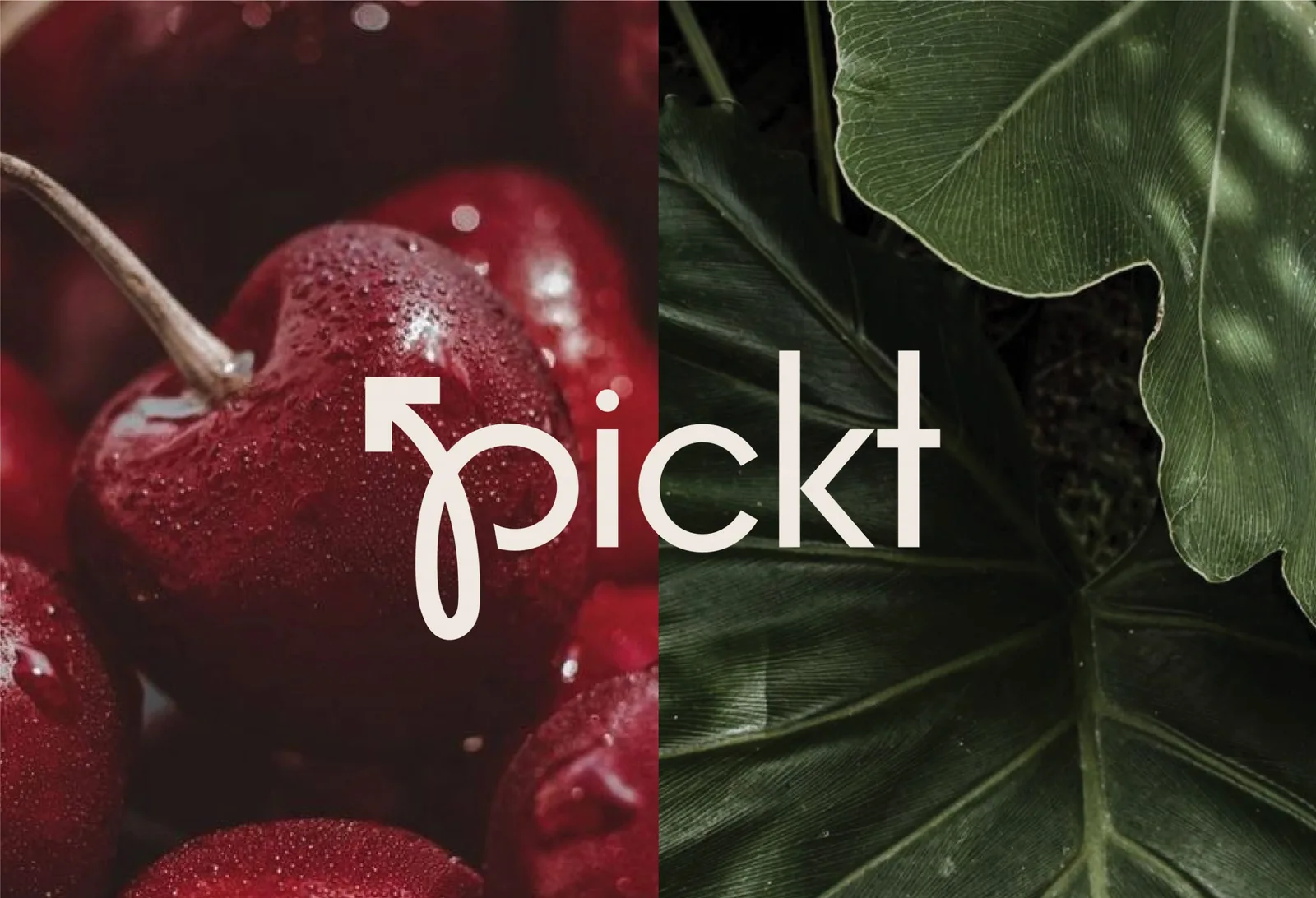 Pickt brand identity design by Marka Works (2)