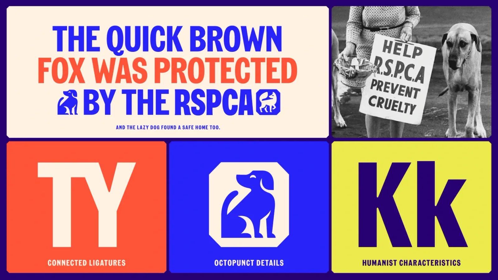 RSPCA brand identity design by Jones Knowles Ritchie (3)