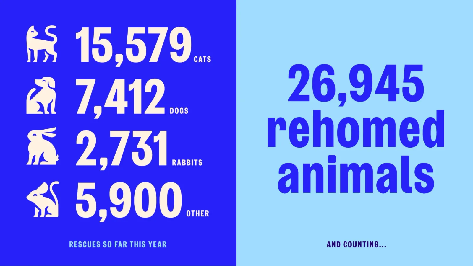 RSPCA brand identity design by Jones Knowles Ritchie (6)