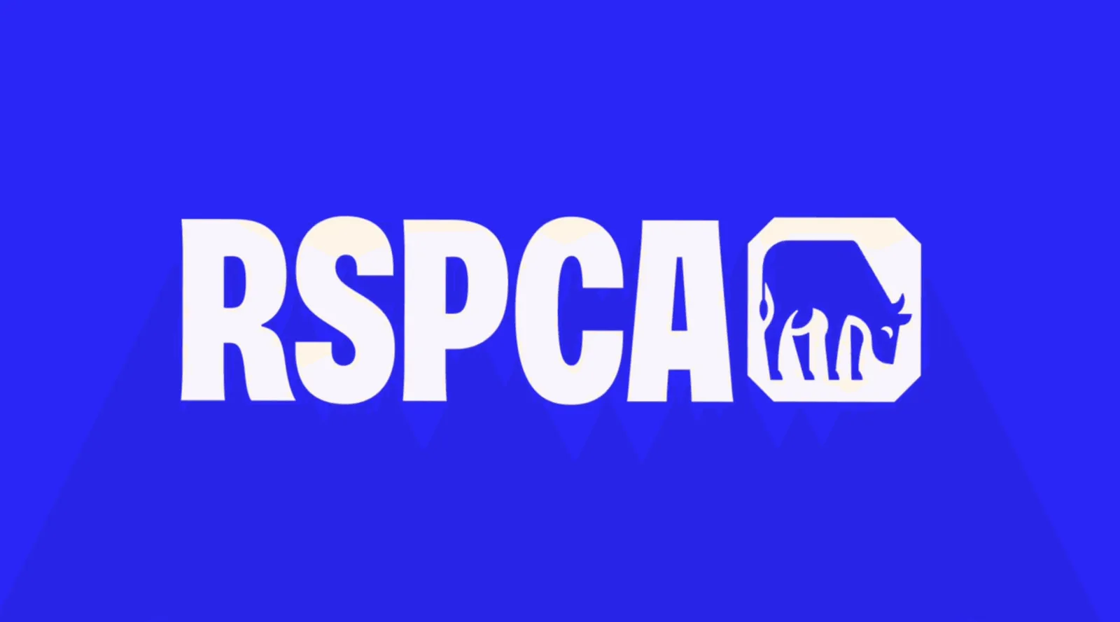 RSPCA brand identity design by Jones Knowles Ritchie (8)