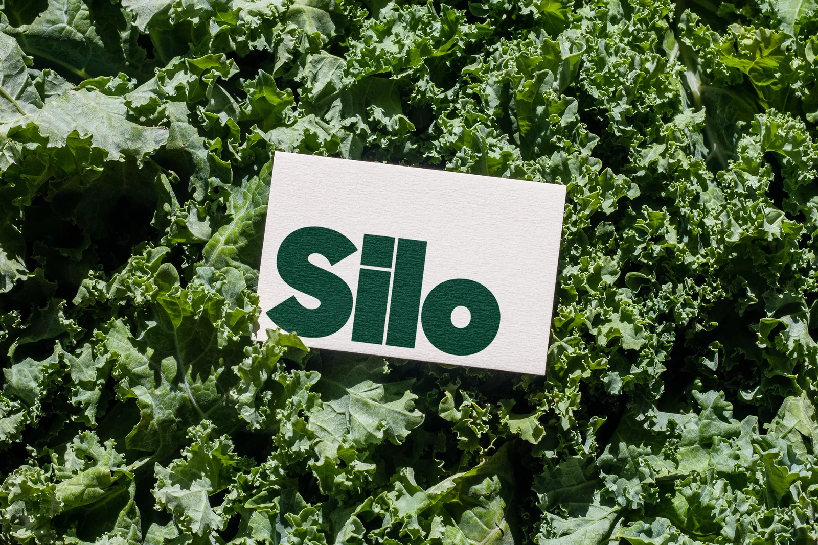 Silo brand identity design by Asis
