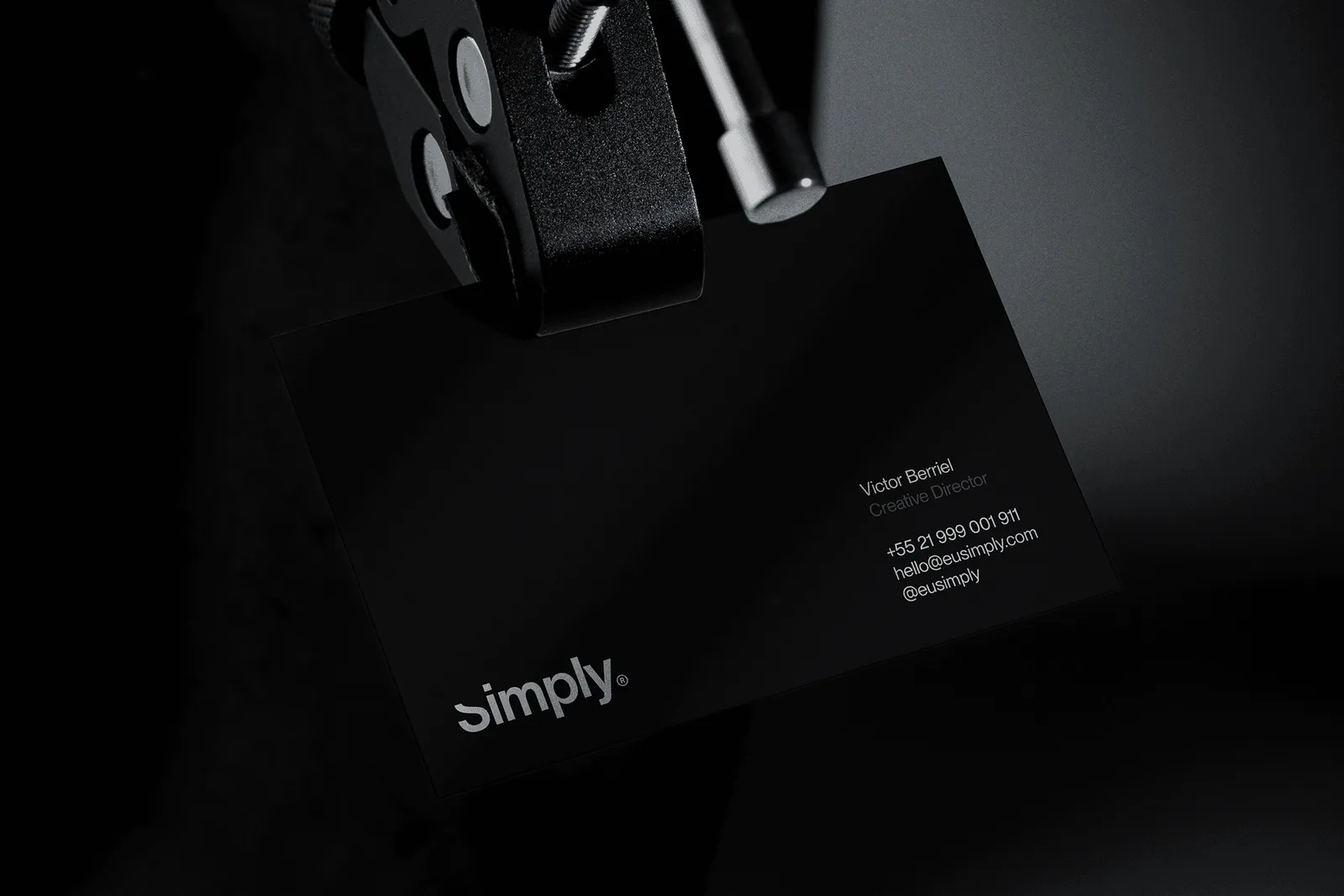 Simply brand identity design by Berriel Brands (10)