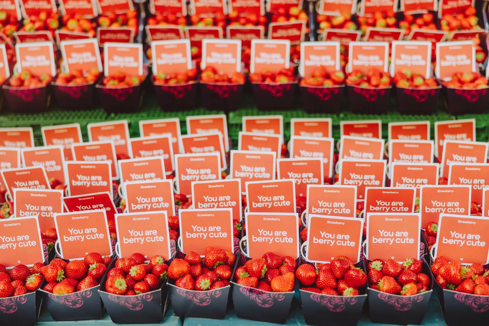 Strawberry brand identity design by Bold Scandinavia (5)