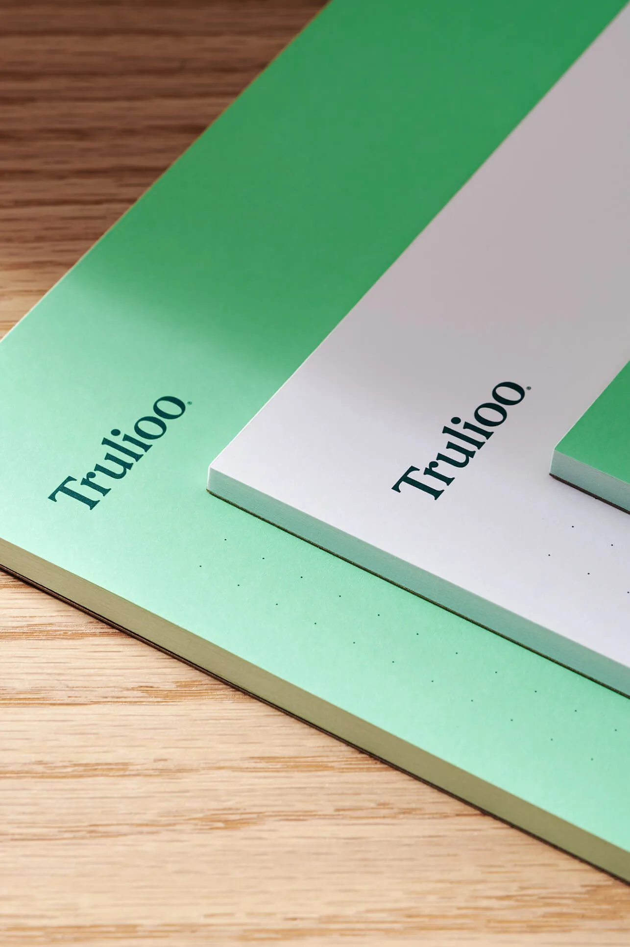 Trulioo brand identity design by PENDO (8)