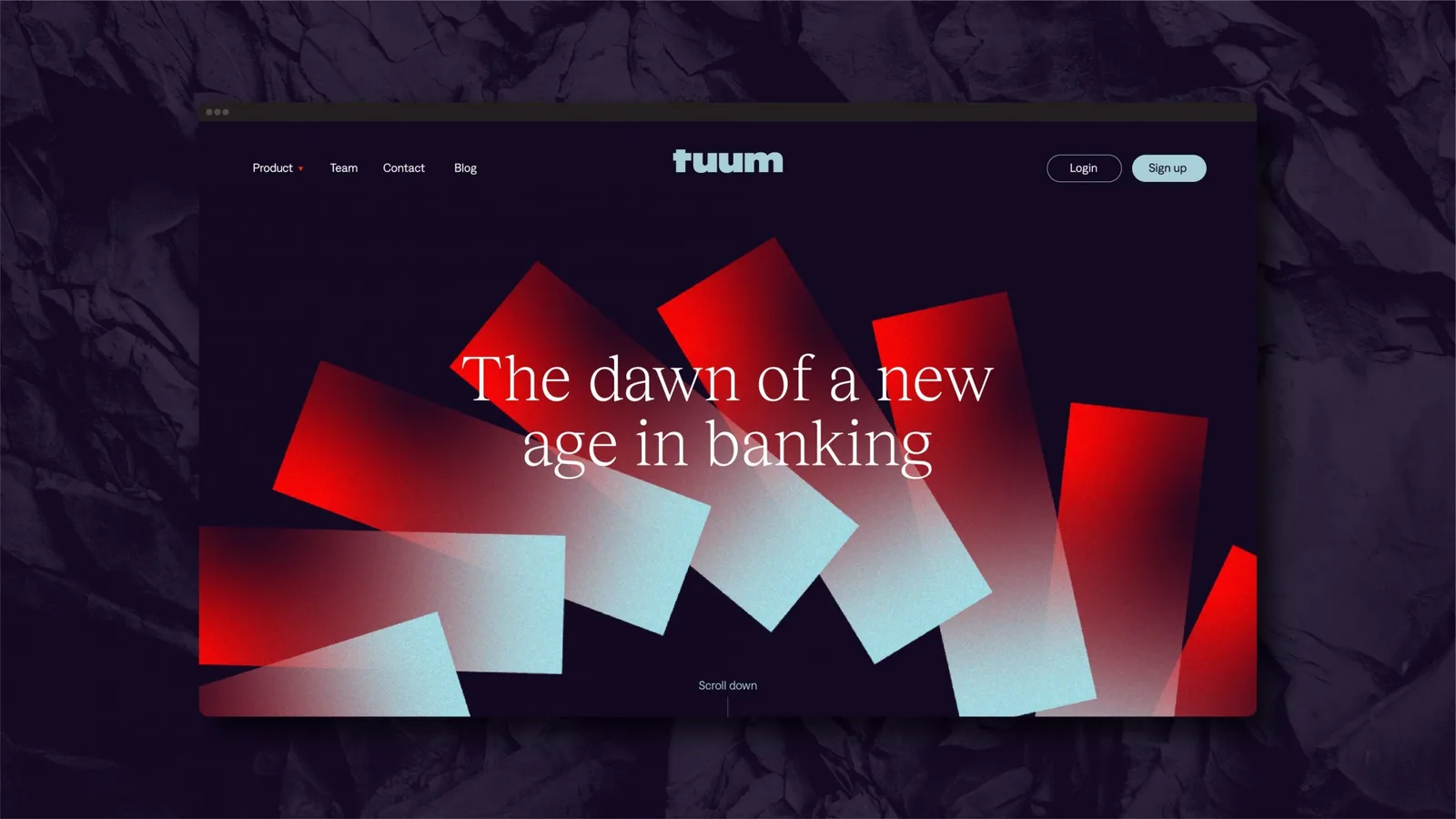 Tuum brand identity design by Verve (6)