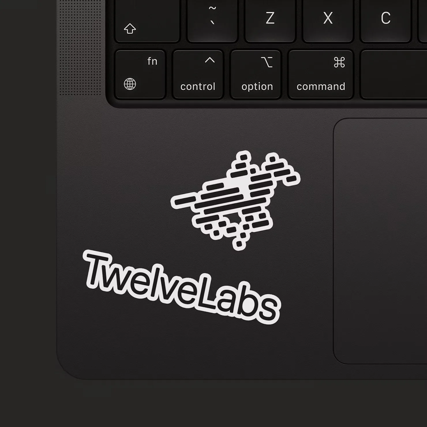 TwelveLabs brand identity design by Pentagram (7)
