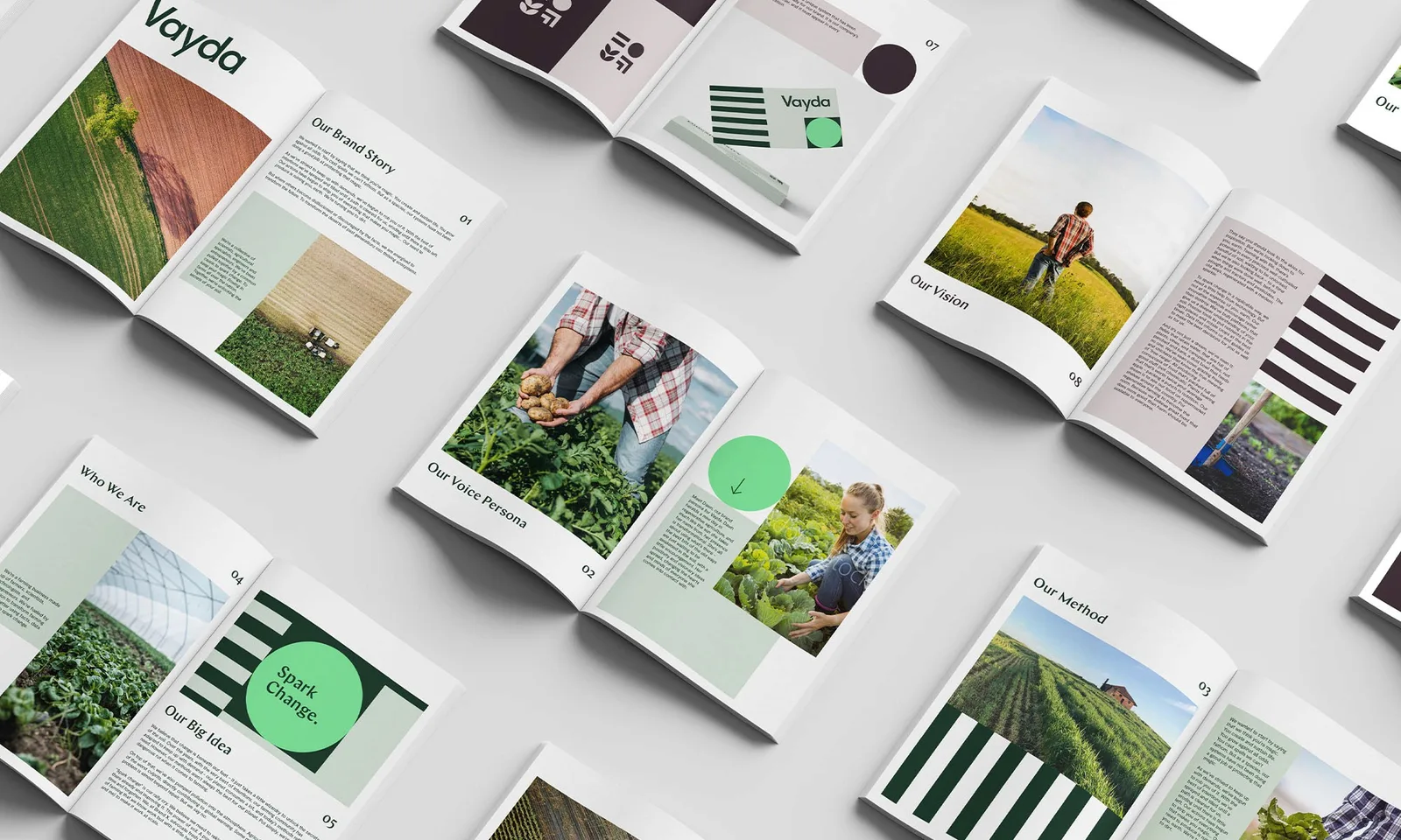 Vayda brand identity design by Motto (4)