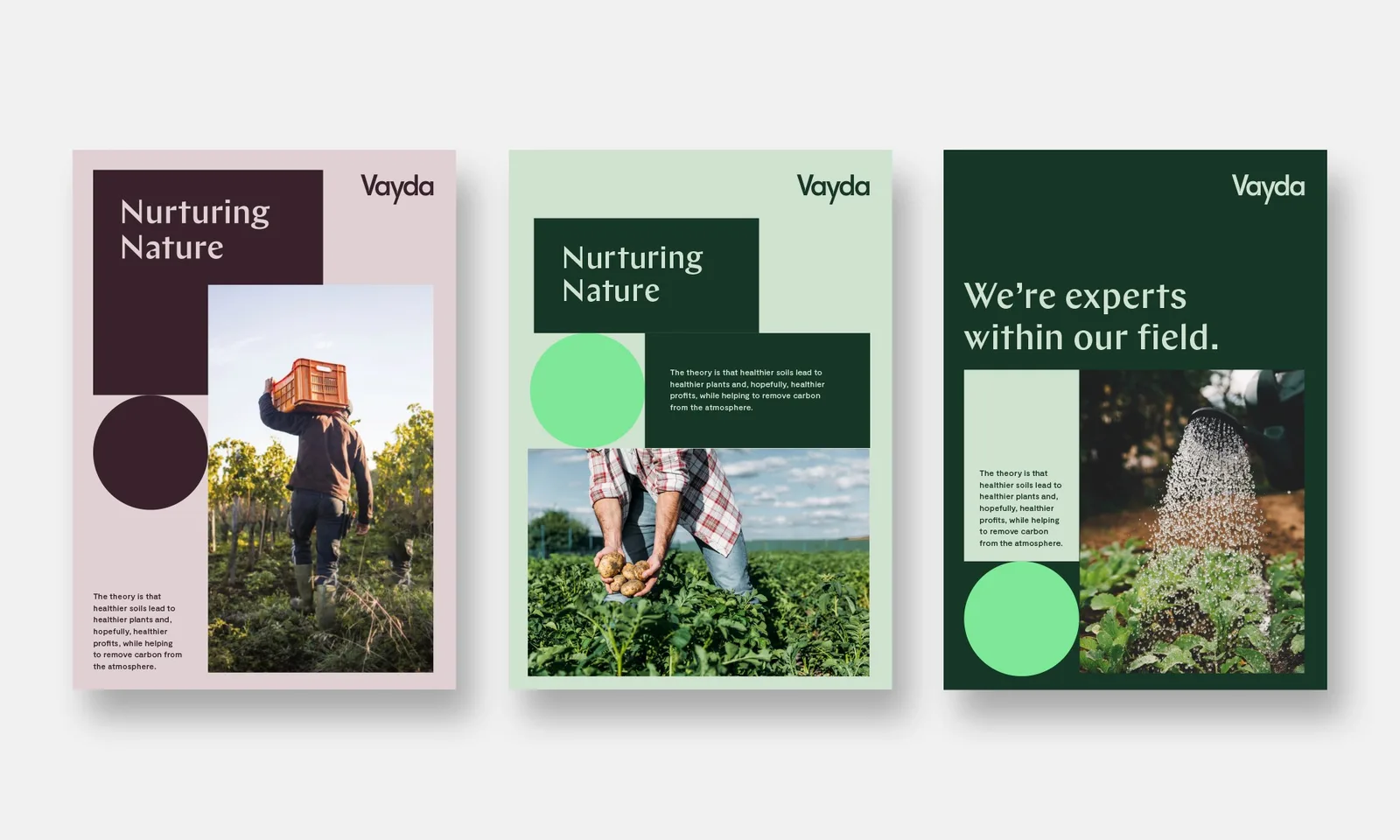 Vayda brand identity design by Motto (5)