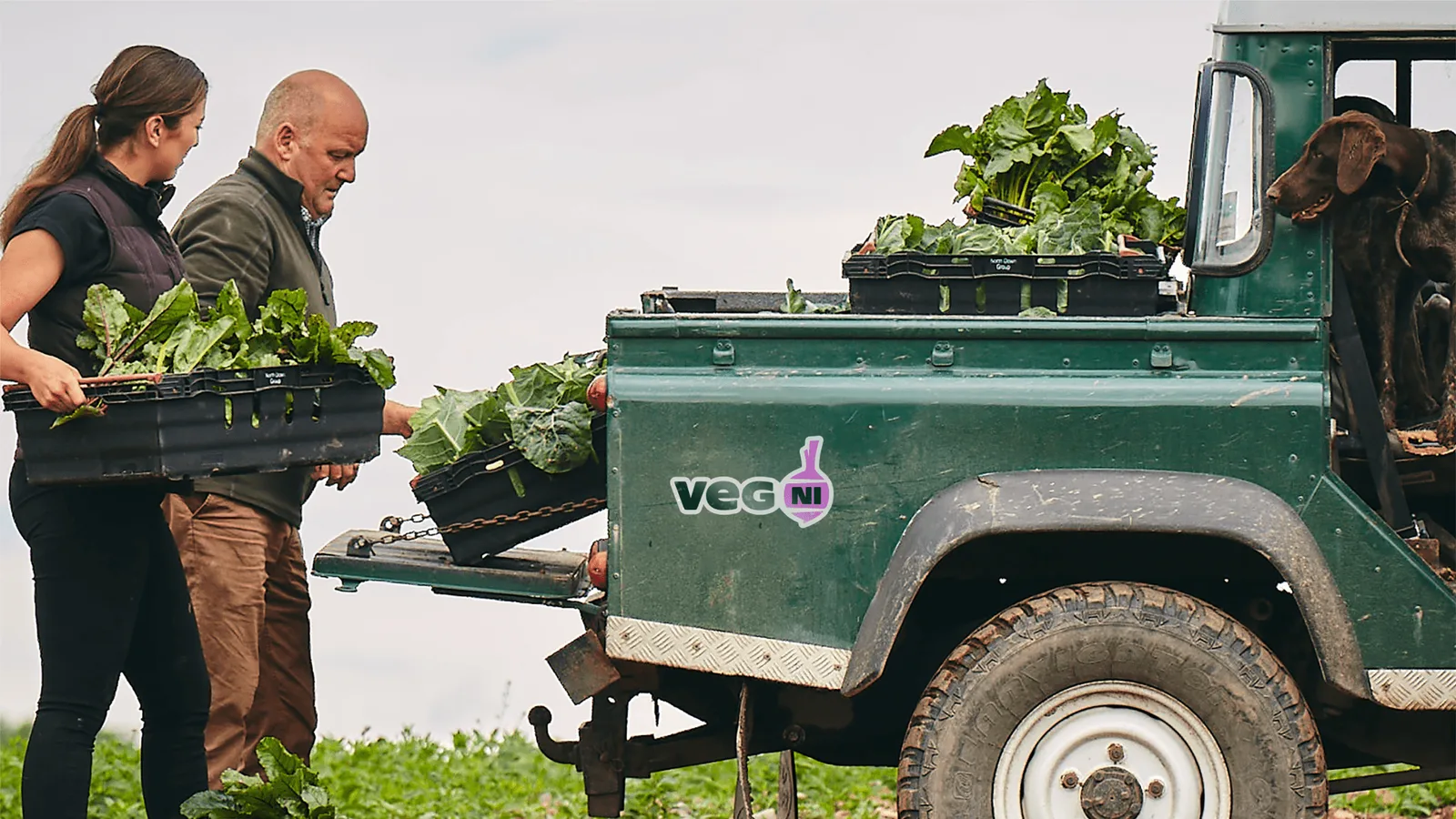 Veg NI brand identity design by Jack Renwick Studio (4)