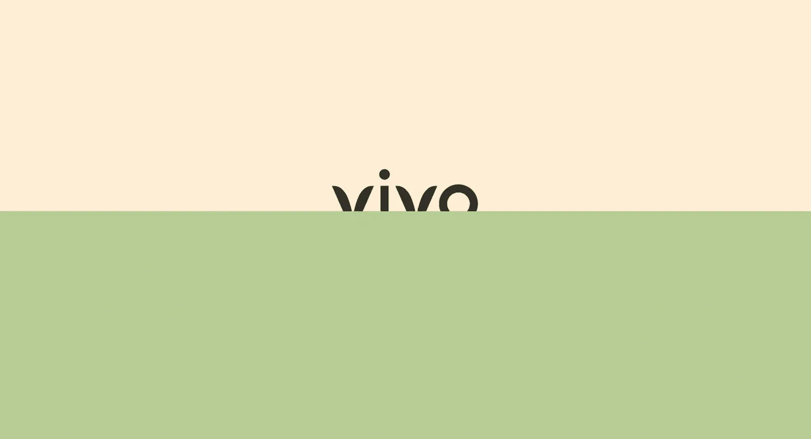Vivo brand identity design by invade design (2)